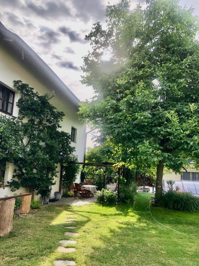 Pokoje V Chalupe Pod Milesovkou Velemin Bagian luar foto